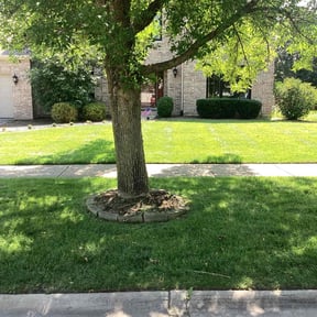 residential landscaping by Cat's Landscaping reviewed on January 7, 2026