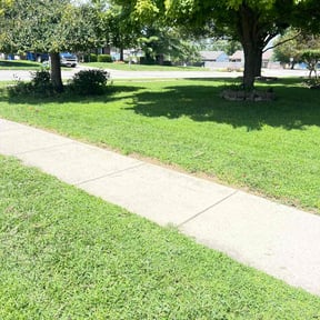 yard work by Lopez lawn service and care reviewed on August 16, 2025