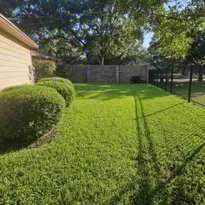 landscaping by Cascade Lawn reviewed on June 3, 2024