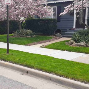 landscaping by Pt contracting reviewed on August 18, 2025