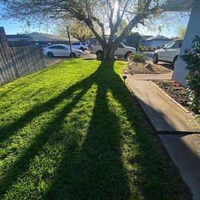 yard care by Lawn Stars reviewed on August 19, 2025
