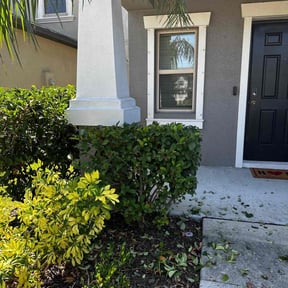Bush Trimming by Ascension Care, LLC. reviewed on August 16, 2025