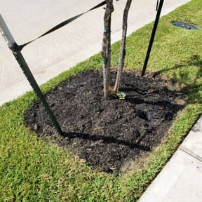 Flower Bed Weeding by New leaf Landscaping reviewed on August 20, 2025