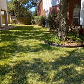 Bush Trimming by Riteous Lawn Care reviewed on August 20, 2025