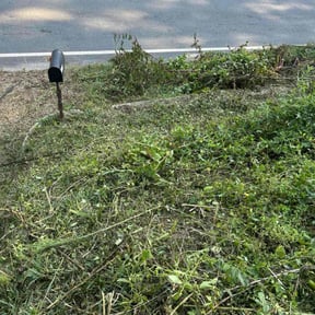 Leaf Removal by Cut n up lawn care services reviewed on September 27, 2025