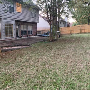 Leaf Removal by Everblades reviewed on October 22, 2025