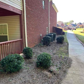 Bush Trimming by Ultimate Landscape Contractor reviewed on October 20, 2025