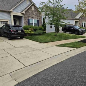 landscaping services by Giselle massa reviewed on August 19, 2025