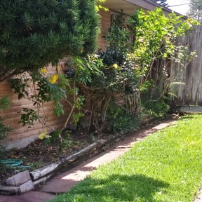 Bush Trimming by A and J Landscaping reviewed on August 15, 2025