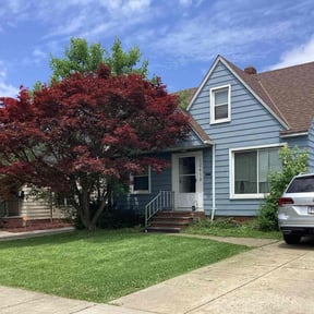 gardening service by B&S Lawn Care reviewed on August 15, 2025
