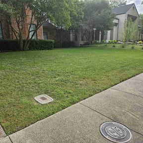 yard work by King of Lawn Care LLC reviewed on August 16, 2025