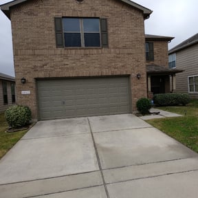 Bush Trimming by Mister Detail Lawn Care Service reviewed on August 20, 2025