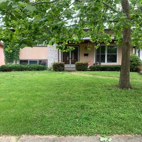 Bush Trimming by Smack Down lawns and tractor services reviewed on August 18, 2025