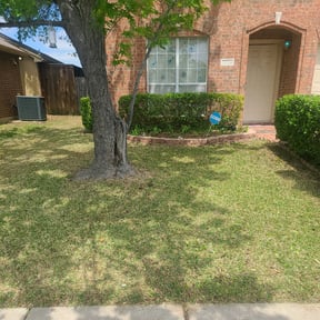 Bush Trimming by Valencia Landscaping reviewed on August 16, 2025