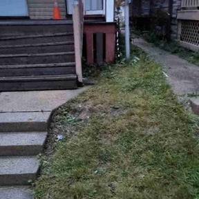 Bush Trimming by Oak Landscaping reviewed on August 16, 2025
