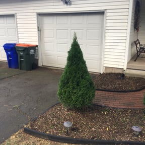 Bush Trimming by Aparicio Lawn Care reviewed on August 15, 2025