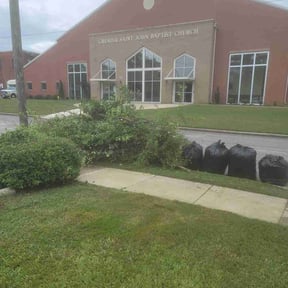 Bush Trimming by Mikes Landscaping reviewed on August 17, 2025