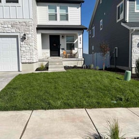 landscaping by Rivera landscaping reviewed on August 16, 2025