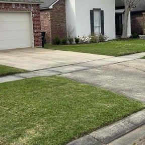 yard maintenance by AJ Burke reviewed on August 18, 2025