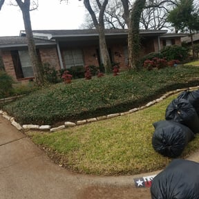 Leaf Removal by Golden Lion&#039;s reviewed on August 20, 2025