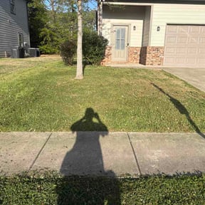 Bush Trimming by Trim My Yard reviewed on April 6, 2026