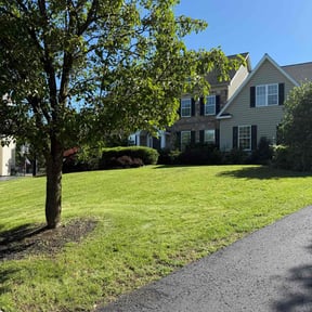 residential landscaping by Padro Lawn and Window reviewed on August 21, 2025
