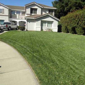 landscaping services by John's Lawn Maintenance reviewed on August 20, 2025