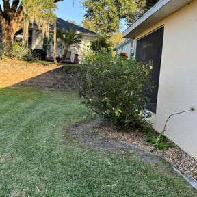 Bush Trimming by Tegridy Lawn Care LLC reviewed on November 23, 2025