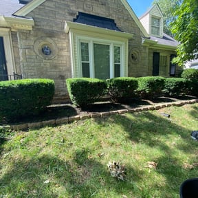 Bush Trimming by Hyksos Lawn Care Solutions, Inc. reviewed on August 16, 2025