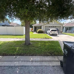 yard care by Violante Landscaping reviewed on October 22, 2025