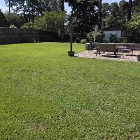 yard work by Dominguez Pro Landscaping, Lawncare & more LLC reviewed on August 19, 2025
