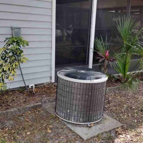 Leaf Removal by MowZ By BroZ reviewed on September 12, 2025