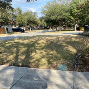 Leaf Removal by Hugheslandscaping reviewed on September 17, 2025