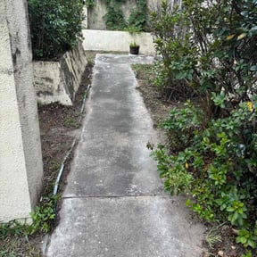 Bush Trimming by Clarks lawn care  reviewed on November 6, 2025