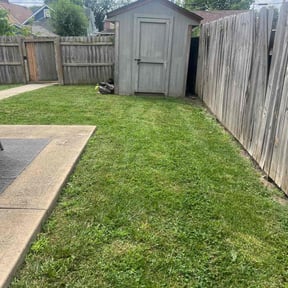 grass maintenance by Giron Tree Services LLC reviewed on May 7, 2024