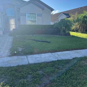 Bush Trimming by Sir Knights Lawn Care reviewed on August 14, 2025