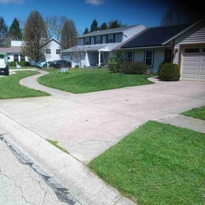 yard service by Ford year-round Lawn Service reviewed on August 15, 2025