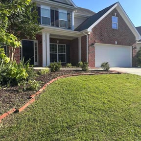 turf care by Happy plantsman reviewed on August 21, 2025