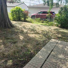 Leaf Removal by Hogman and sons lawncare plus reviewed on September 15, 2026
