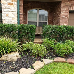Bush Trimming by Scarlet and gray Lawn Care Management LLC reviewed on August 19, 2025