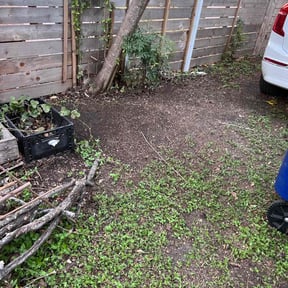 Leaf Removal by Stan's Lawns reviewed on August 17, 2025