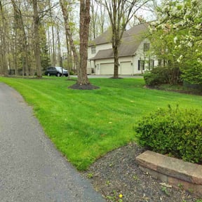 landscape maintenance by DLAWN SERVICE LLC reviewed on August 21, 2025