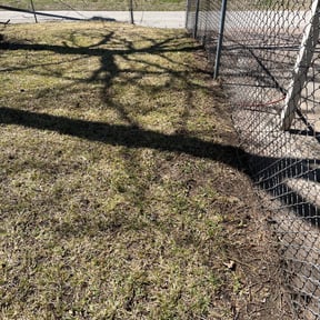 Leaf Removal by Hayes Landscapes reviewed on October 3, 2025