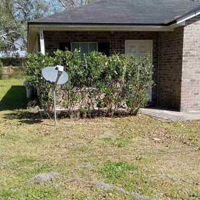 Bush Trimming by Total Property Maintenance L.L.C. reviewed on August 16, 2025