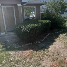 Bush Trimming by Browns lawncare reviewed on August 15, 2025
