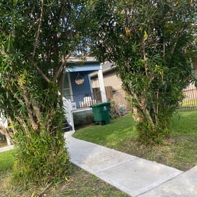 Bush Trimming by Show me the hardscaping and lawns reviewed on August 18, 2025