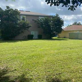 turf care by Undefeated Landscaping LLC. reviewed on June 29, 2023