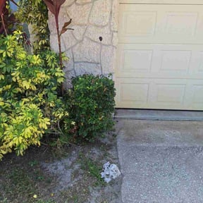 Bush Trimming by Jose Martinez landscape services reviewed on August 18, 2025