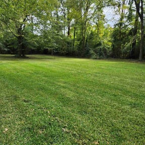 lawn care services by Bama Services LLC reviewed on April 5, 2024