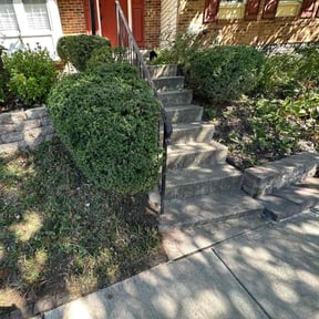 Bush Trimming by DWB Lawn Care Services reviewed on August 19, 2025